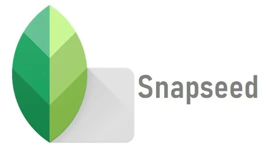 Snapseed 治疗工具用于移除照片中不需要的物体 - Fotto.AI