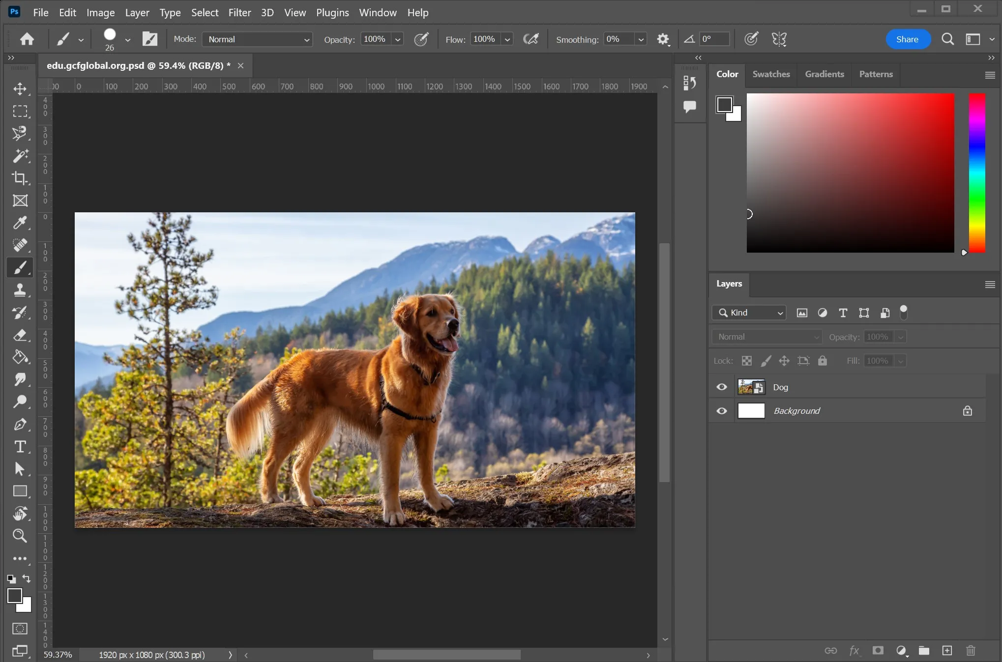 Adobe Photoshop Express 手机应用使用物体橡皮擦移除不需要的物体 - Fotto.AI
